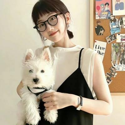 灰姑娘的故事：圣诞愿望